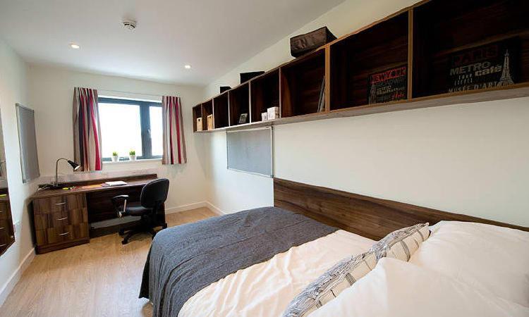 Zeni 3 Bed Apartment In Central Exeter Extérieur photo